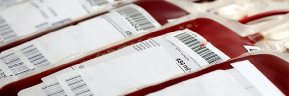How are Blood Bags Tested Before its Application