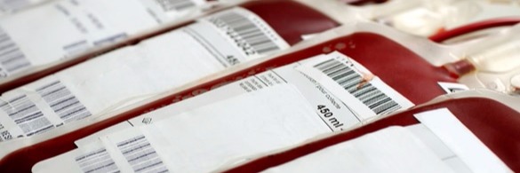 How are Blood Bags Tested Before its Application