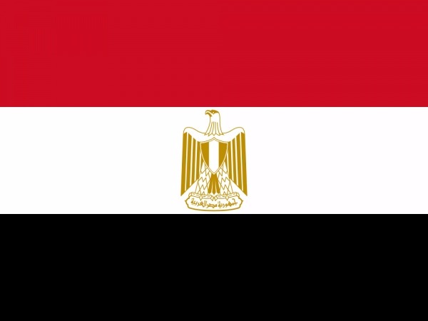 Category Image