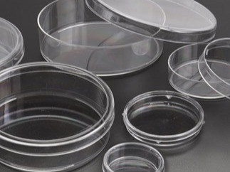 Petri Dishes Testing Instruments