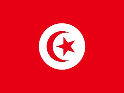 Testing Instruments in Tunisia
